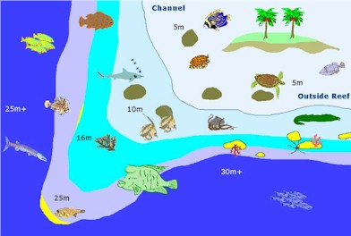 Kudadhoo Corner